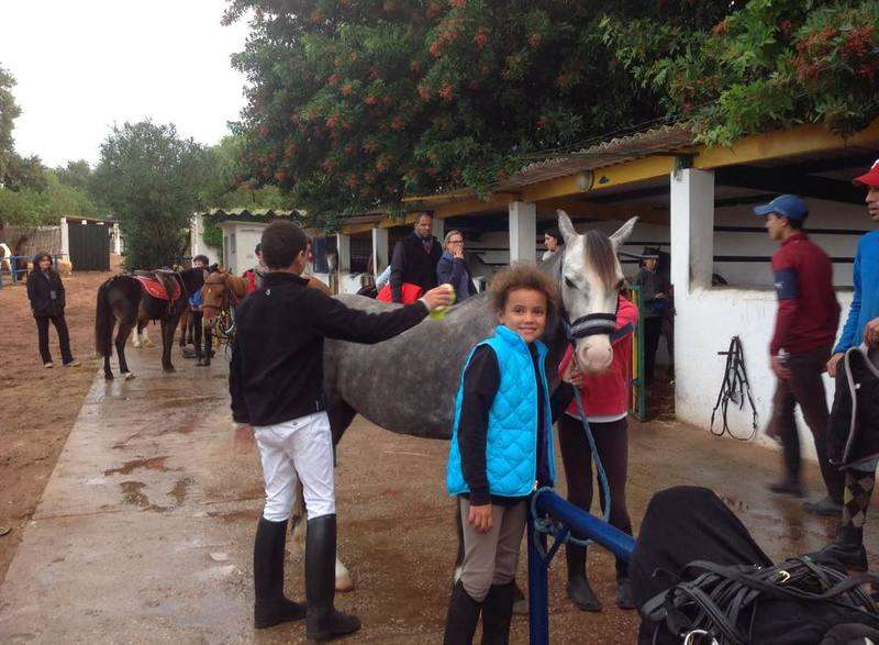 Poney-club-de-rabat